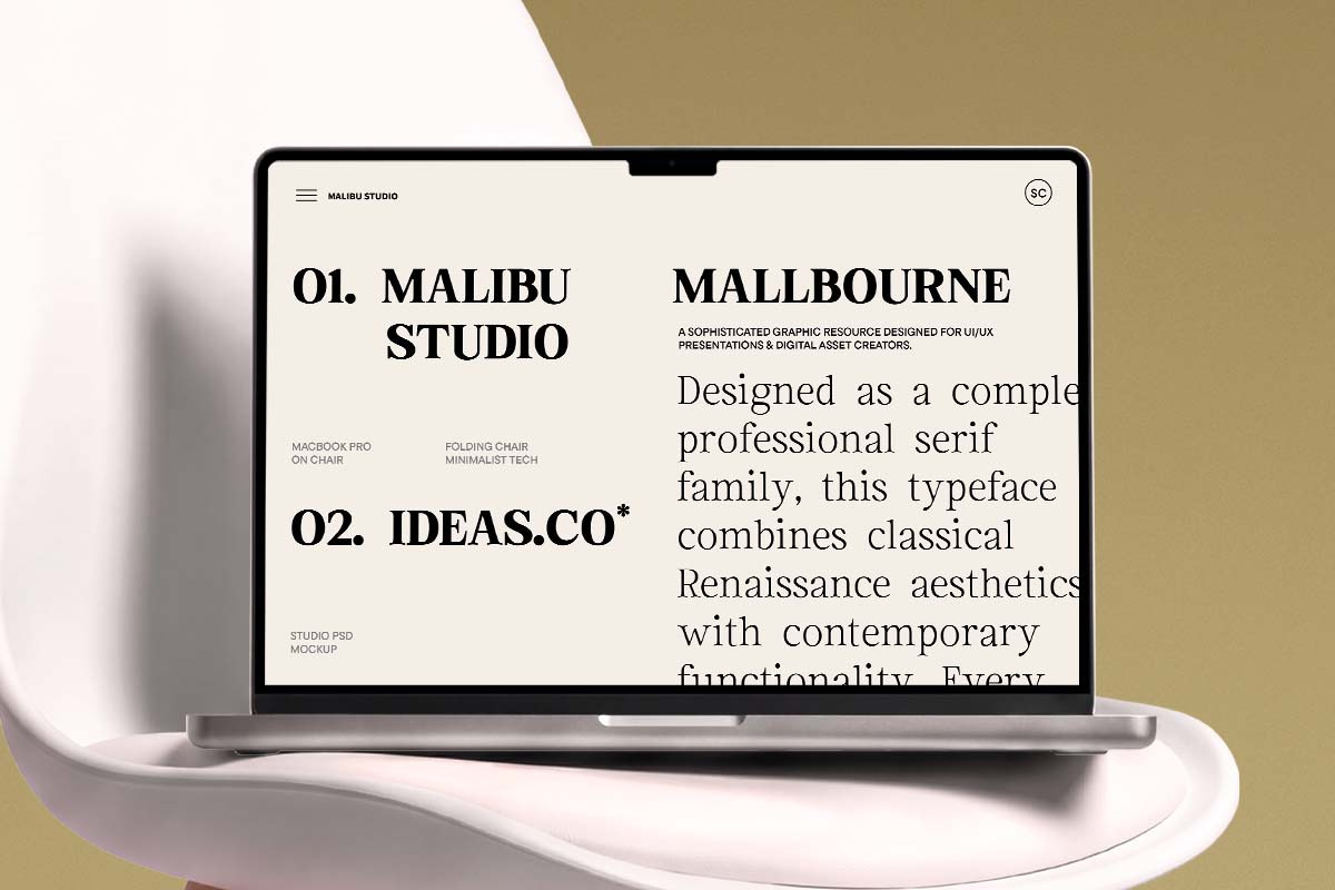 Euclid Serif | 180 Font Files, a Serif Font by Ws Studio (Photo 11 of 12)