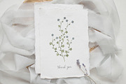Wildflowers watercolor collection, an Illustration by viktoriiavk (Thumbnail 11 of 11)