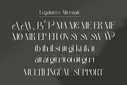 Miling Modern Serif Typeface, a Serif Font by Alfinart (Thumbnail 9 of 10)