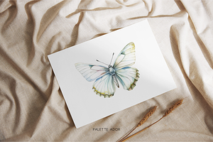 Watercolor White Butterflies