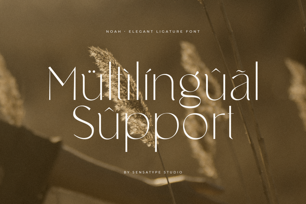 Noah - Elegant Ligature Font, a Serif Font by Sensatype (Photo 14 of 19)