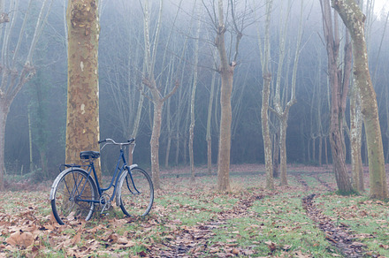 Vintage bicycle in the foggy forest featuring forest, bicycle, and landscape, a Transportation Photo by Irantzu Arbaizagoitia