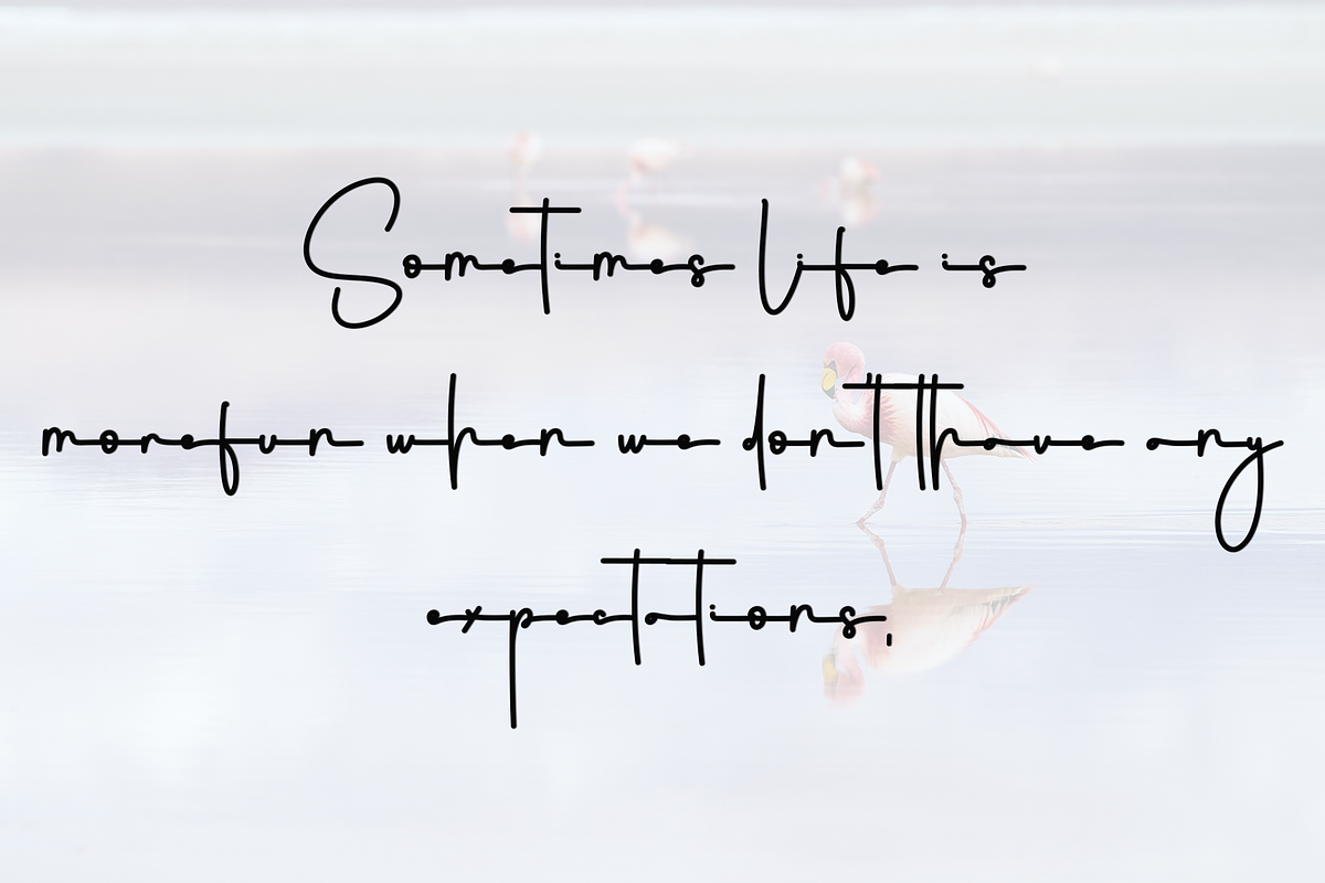 Natalia Signature, a Handwritten Font by InermediaSTUDIO (Photo 8 of 8)