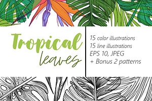 Detailed tropical leaves & Patterns, a Decorative Illustration by NKTKNS