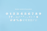 Mistlewood–Vintage Christmas Display, a Serif Font by AN Productions (Thumbnail 3 of 4)
