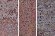GSTC - Metal textures, a Texture Graphic by The Shop (Thumbnail 9 of 89)