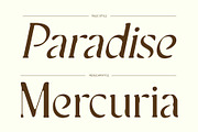 CS Sargent Drawn, a Serif Font by Craft Supply Co. (Thumbnail 2 of 8)