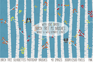 Birch Tree Photoshop Brushes