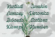 NCL Qanproy Woldriug, a Script Font by Enxyclo Studio (Thumbnail 13 of 19)