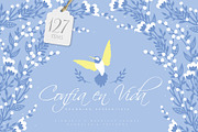 Confia en Vida - Branding Kit, an Object Graphic by Euonia Meraki (Thumbnail 1 of 13)