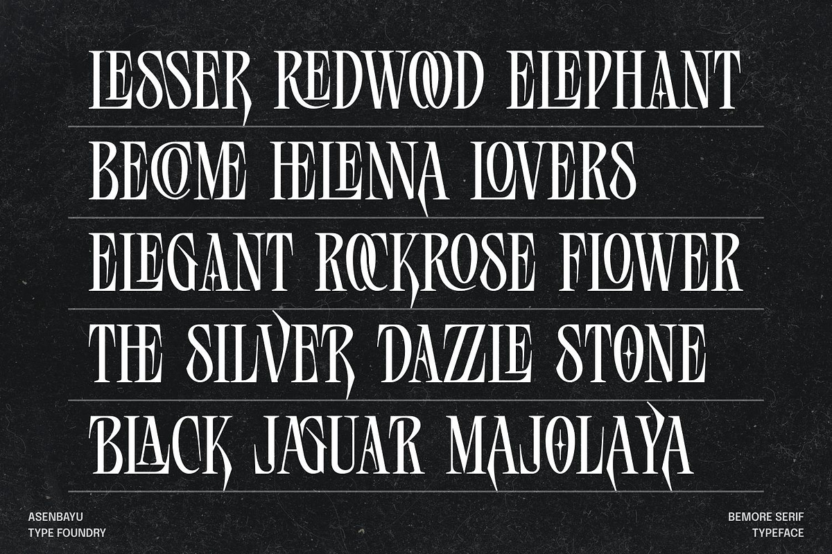 Bemore Serif Font, a Serif Font by Asenbayu (Photo 9 of 13)