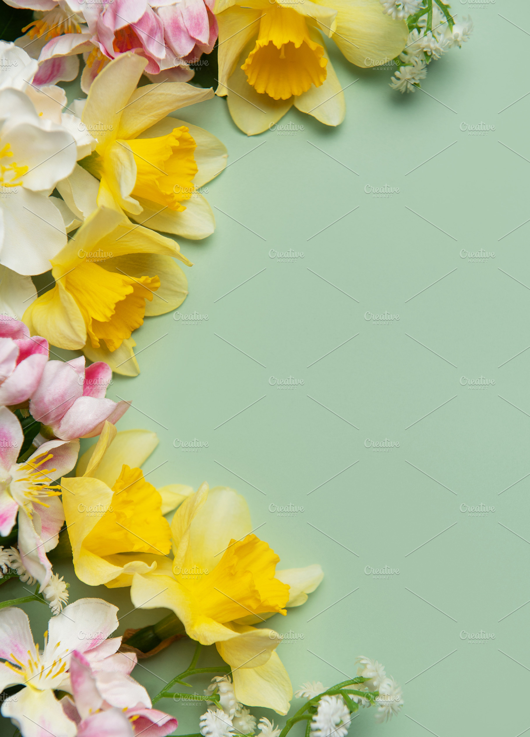 Spring flowers creating a border on a pastel green background wi, a Holiday Photo by Olena Rudo