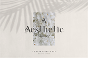 AVGAF - A Modern Serif Font, a Serif Font by Vroz Studio (Thumbnail 2 of 12)