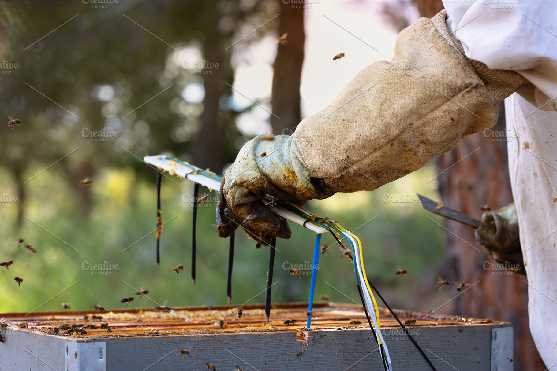 Beekeeper Manipulating Sensors in a, a Technology Photo by Perpis