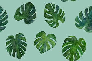 Watercolor Monstera