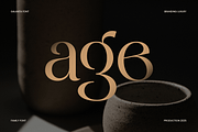 Galante Branding Luxury Font Family, a Serif Font by Sensatype (Thumbnail 13 of 21)