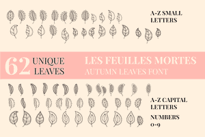 Autumn Leaves Dingbats Font