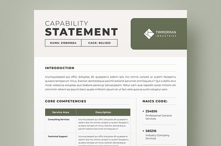Capability Statement Template, a Brochure Template by DesVert