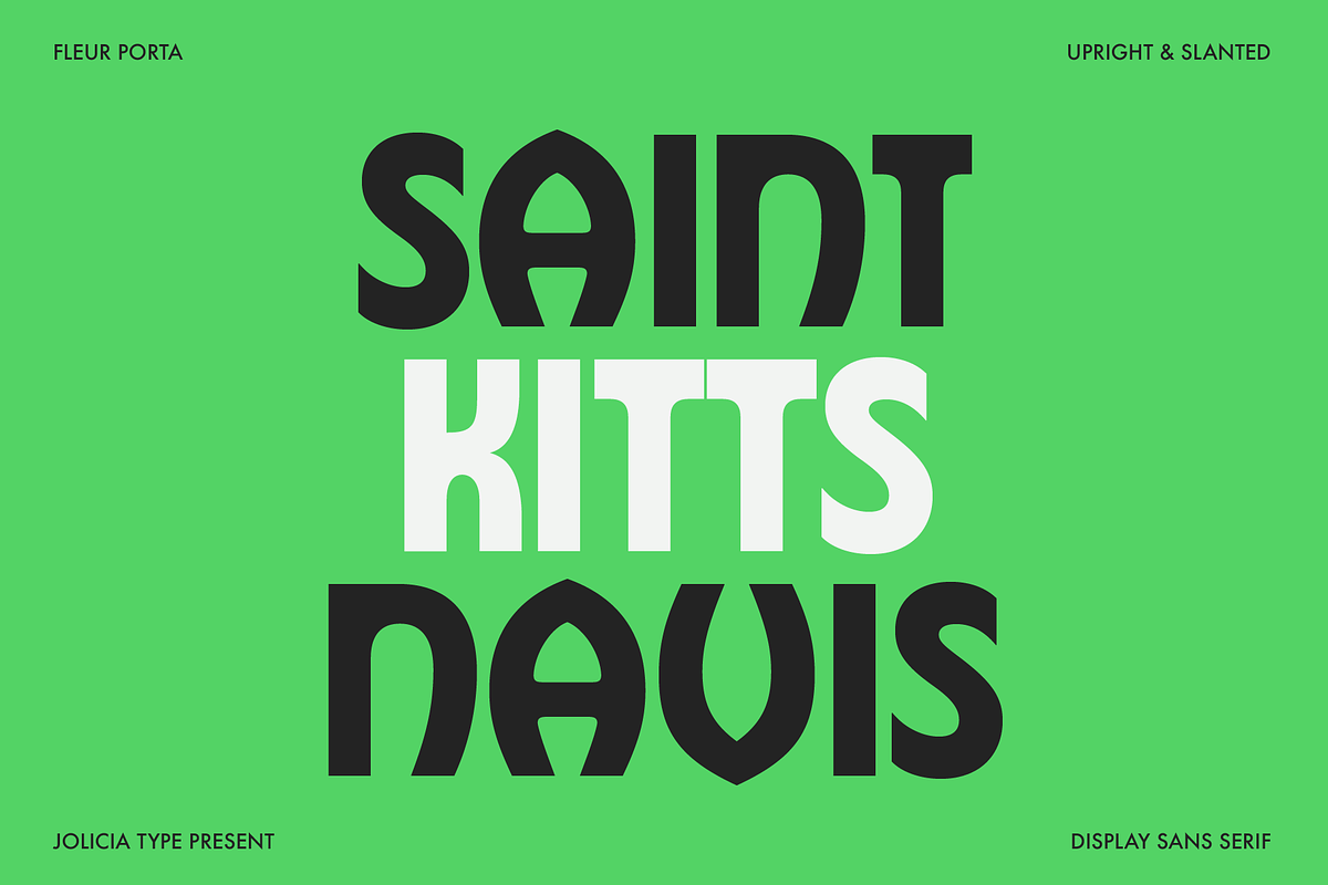 Fleur Porta | Display Sans, a Sans Serif Font by Jolicia Type (Photo 3 of 14)