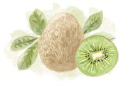 12 Kiwi Fruit Clipart Set, an Illustration by hafijul (Thumbnail 6 of 13)