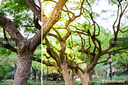 Solar Spots Lightroom Presets, a Plug-in Add-On by Contrastly Shop (Thumbnail 2 of 4)