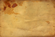 Vellum Textures, a Texture Graphic by Blue Line Design (Thumbnail 15 of 21)