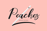 Raisyah Calligraphy Script Font, a Script Font by Giant Design (Thumbnail 3 of 10)