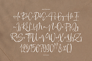 Harfey Lim Classic Signature Script, a Script Font by Denustudios (Thumbnail 11 of 13)