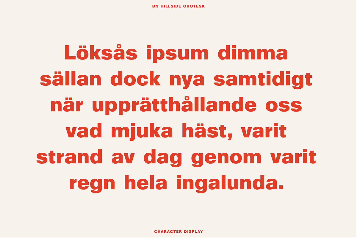 BN Hillside Grotesk, a Sans Serif Font by Bnick (Photo 13 of 14)