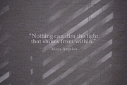 Natural Shadow Overlays & Background, a Texture Graphic by Feather & Sage Design (Thumbnail 3 of 9)