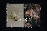 Whimsical Floral Script Font Trio, a Handwritten Font by Laras Wonderland (Thumbnail 5 of 12)