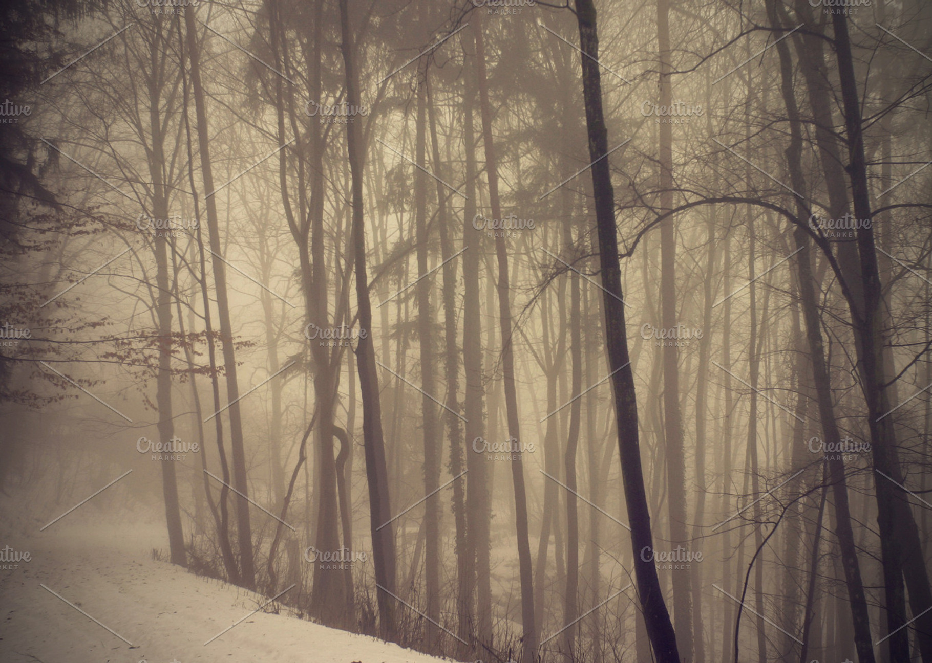 Snow Forest Containing Branches Vintage And Brown