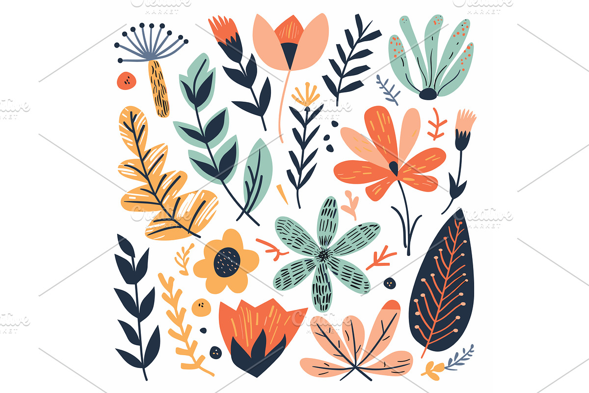 Collection handdrawn botanical, an Object Illustration by Vectorstockersland