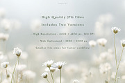 230 Sage Green Stock Images Bundle, a Beauty & Fashion Photo by Allure Art (Thumbnail 7 of 33)