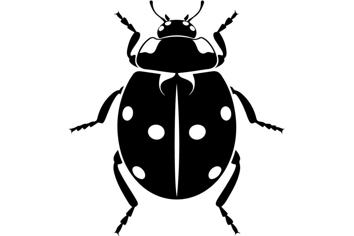 Ladybug Silhouette, an Object Graphic by Designer_Momina (Photo 11 of 20)