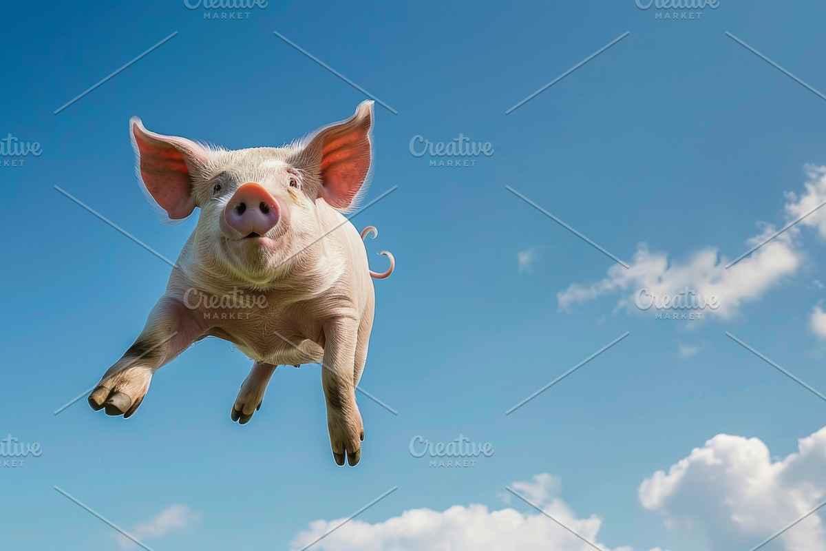 116 Flying animals, an Animal Photo by Handmadefont (Photo 95 of 119)