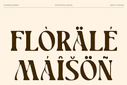 CS Brandis Drawn, a Serif Font by Craft Supply Co. (Thumbnail 6 of 8)