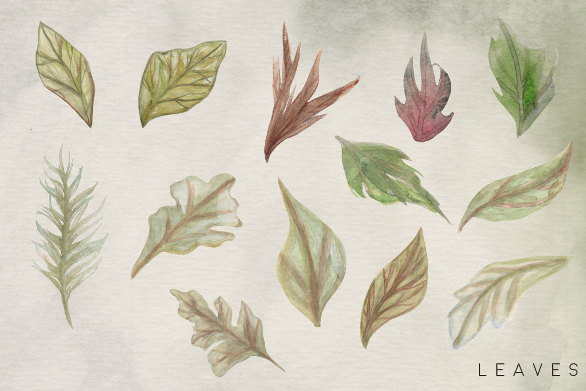 Succulent Blooms Watercolor Images, a Texture Illustration by Fire Spark Studio (Photo 3 of 9)
