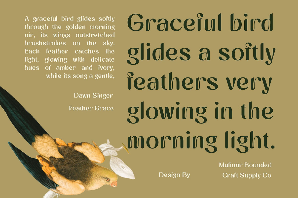 Mulinar Rounded, a Sans Serif Font by Craft Supply Co. (Photo 7 of 8)