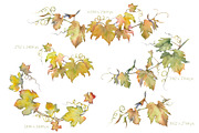 Watercolor Grapes Clipart Set, a Food Illustration by Jeanna Draw (Thumbnail 7 of 12)