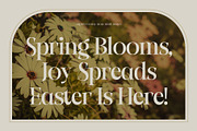 Crowey | Elegant Classic Serif Font, a Serif Font by Hole Hope Design (Thumbnail 7 of 10)