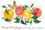 Fruits & Flowers Set, an Illustration by Marina.Markizova (Thumbnail 2 of 5)