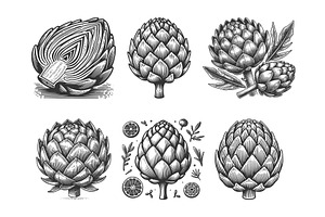 Artichoke engraving set vector, a Food Illustration by AlexArt