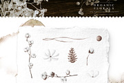 Trendy Leaf Collection, a Texture Illustration by Julia Dreams (Thumbnail 9 of 10)