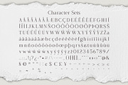 The Spectra - Modern & Elegant Serif, a Serif Font by Almeera Std (Thumbnail 5 of 8)