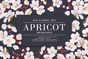 Apricot Branches Big Floral Set, an Illustration by MarynaPetrovska (Thumbnail 1 of 23)
