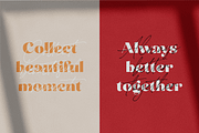Carneys Gallery Font Duo, a Sans Serif Font by Letteralle Studios (Thumbnail 5 of 16)