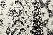 Occult Witchcraft Ink Bundle, a Seasonal Illustration by Ink Stories (Thumbnail 12 of 18)