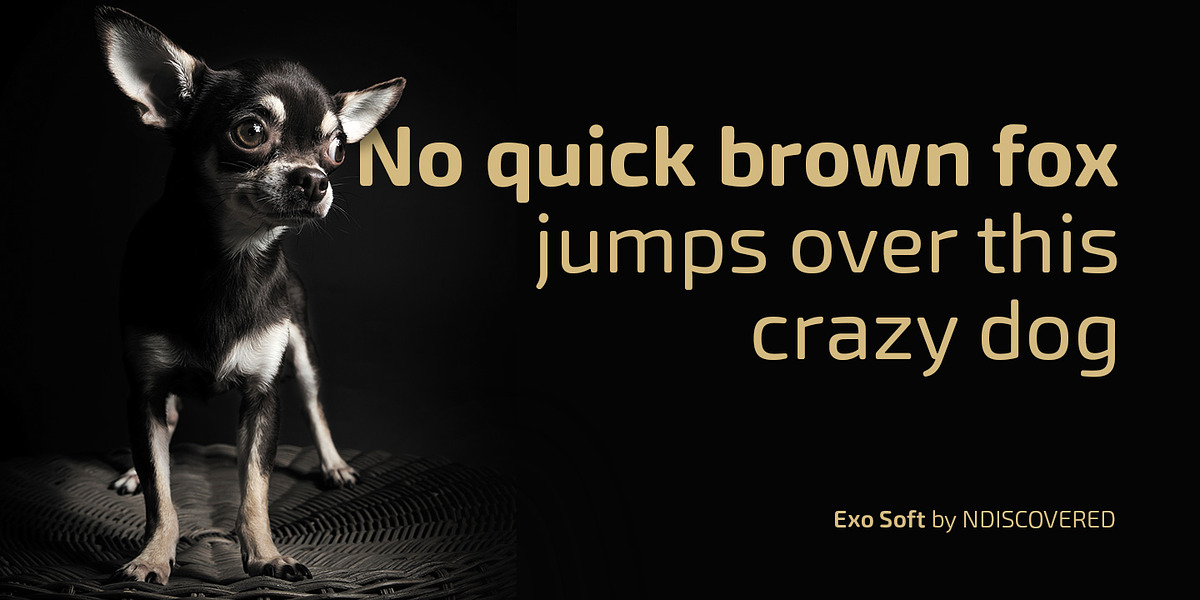 Exo Soft, a Sans Serif Font by Polimateria (Photo 8 of 10)