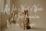 Glyphera Amber - Magical Story Font, a Handwritten Font by HypeWorksCo (Thumbnail 16 of 24)